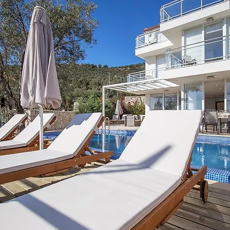Uzun * Kalkan